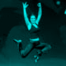 Show: Magic of The Dance