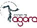 capoeira_agora_logo.jpg