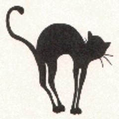 Stray Cat Dance