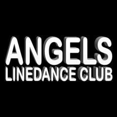 Angels LDC