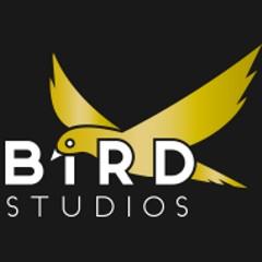birdstudios.jpg